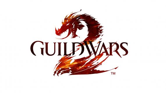 Разработчиков Guild Wars 2 обвинили в установке шпионской программы